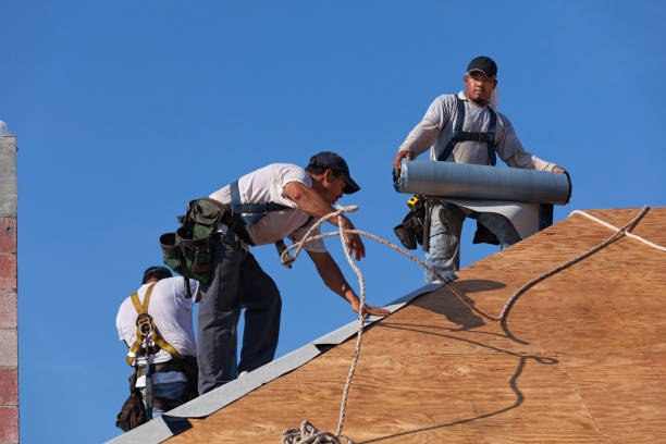 Best Roof Restoration Services  in Newell, WV